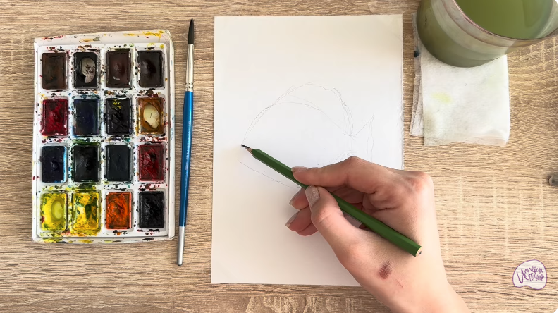 Рисуем Платакс