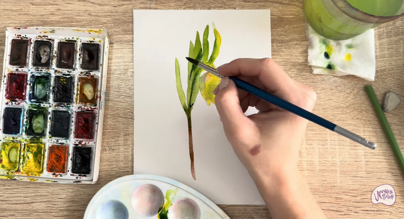 Рисуем Желтый рябчик