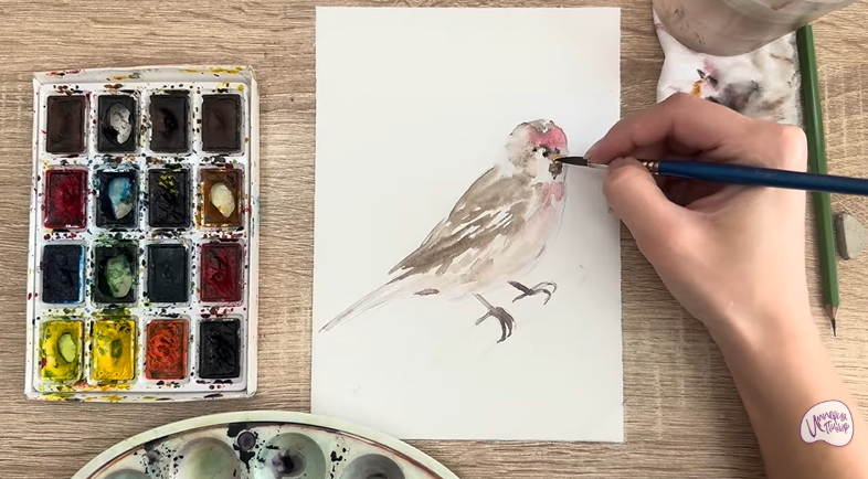 Рисуем Обыкновенная чечётка