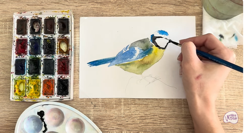 Рисуем Обыкновенная лазоревка