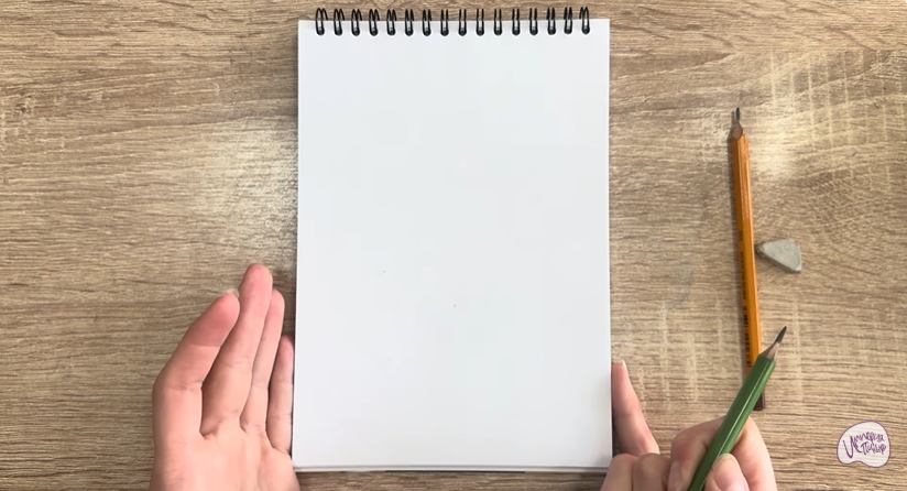 Рисуем Липучка