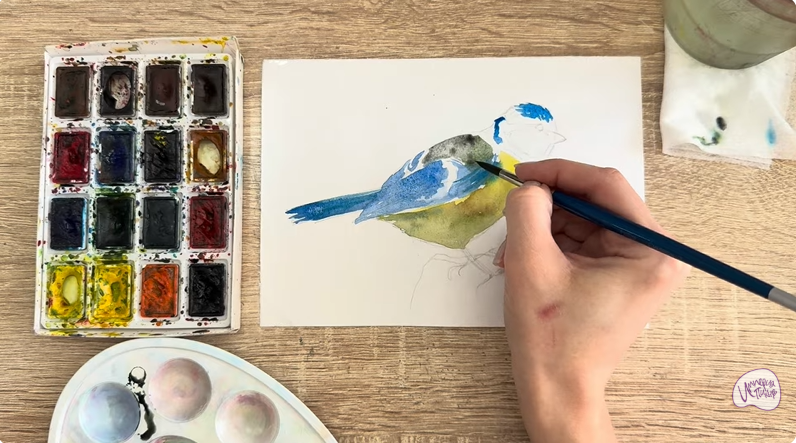 Рисуем Обыкновенная лазоревка