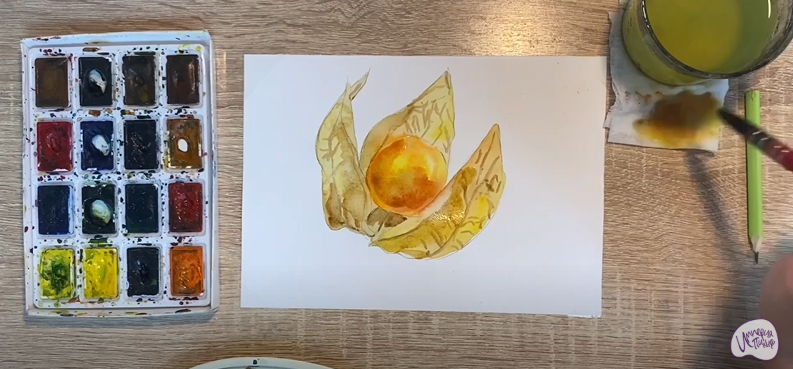 Рисуем Физалис