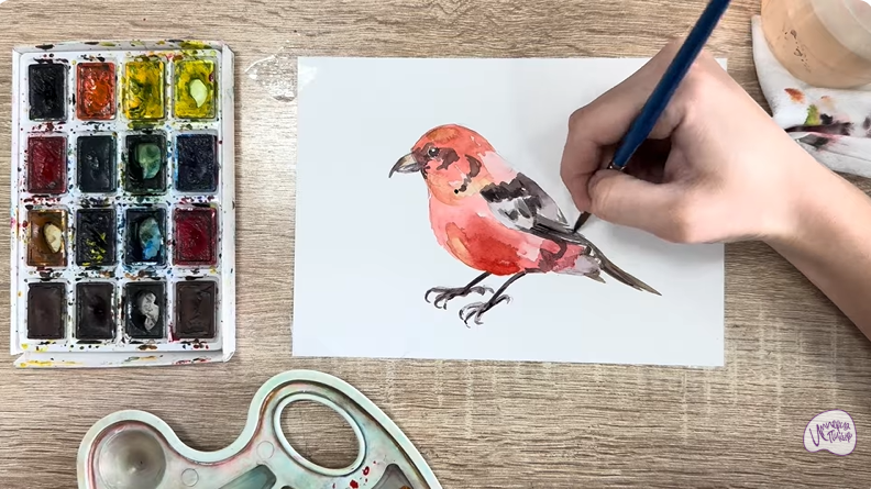 Рисуем Клест - еловик