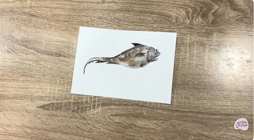 Рисуем Макрурус Рисуем Макрурус