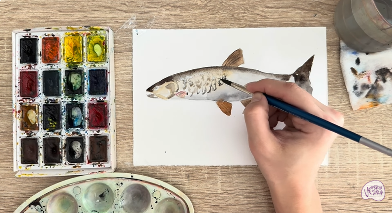 Рисуем Голавль