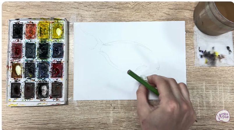 Рисуем Рыба-хирург