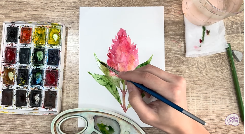 Рисуем Целозия