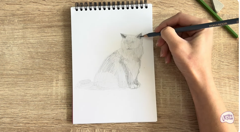 Рисуем Кошка породы Рэгдолл