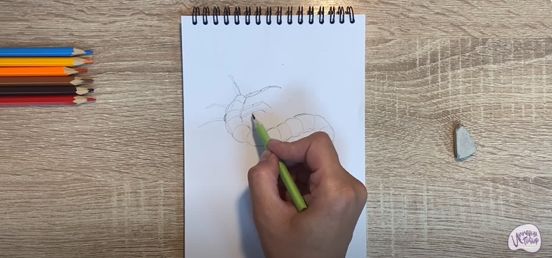 Рисуем Сороконожка