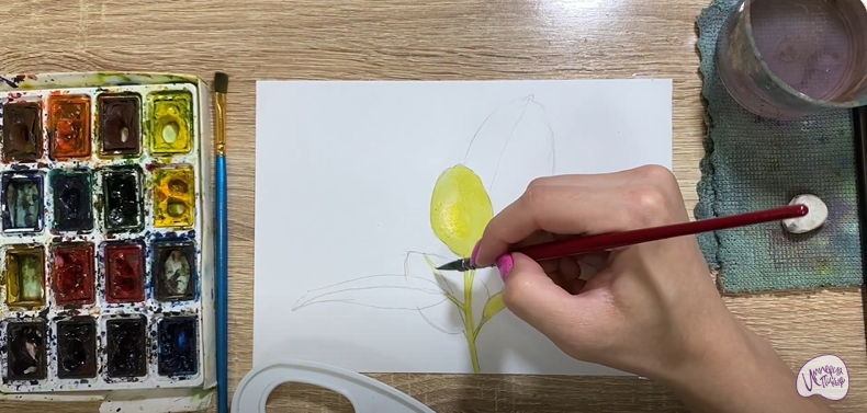 Рисуем Фикус