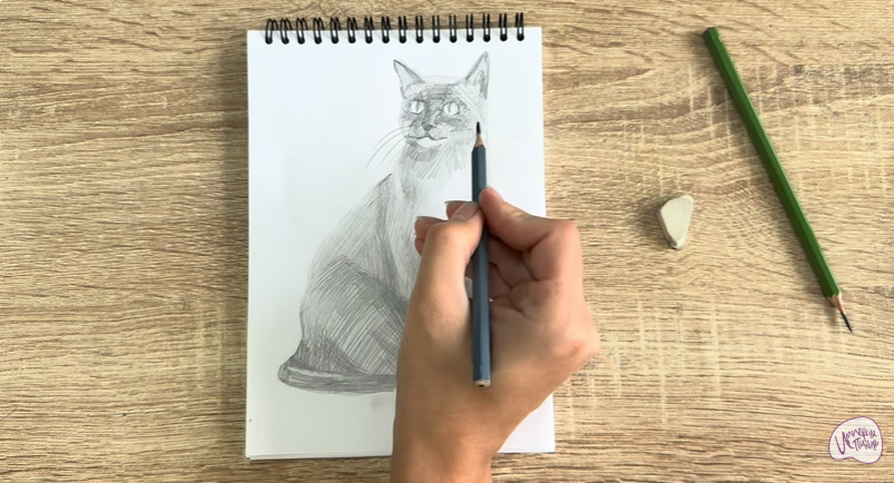 Рисуем Бурманский кот Рисуем Бурманский кот