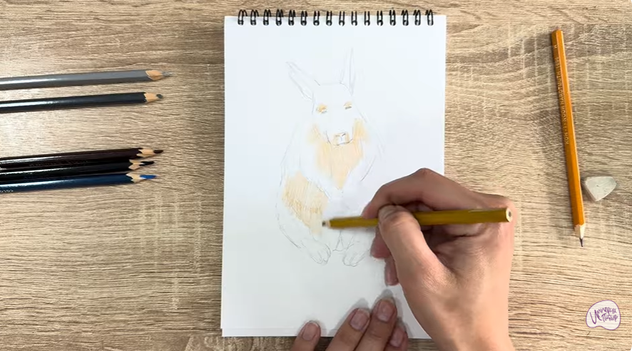 Рисуем Горная вискаша