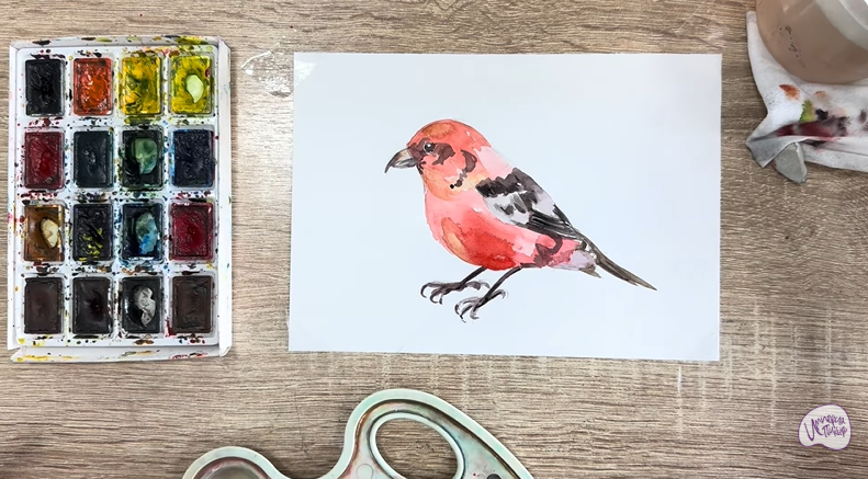 Рисуем Клест - еловик