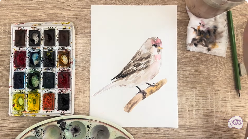 Рисуем Обыкновенная чечётка