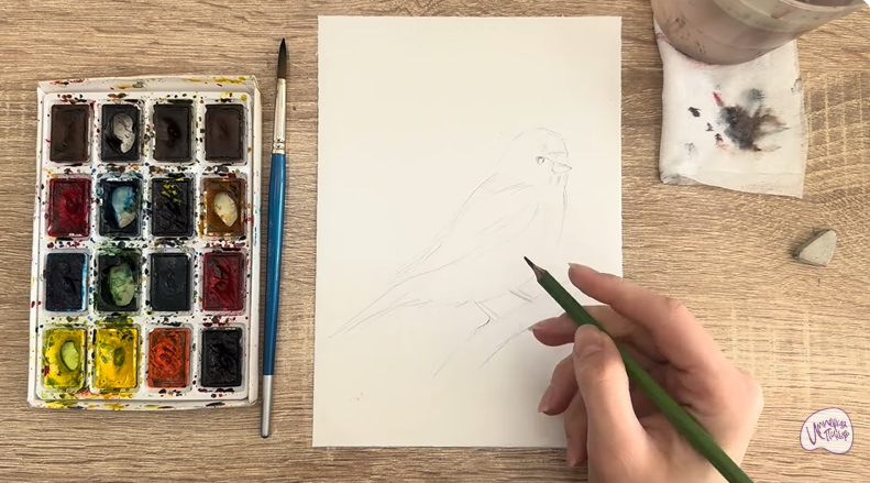 Рисуем Обыкновенная чечётка