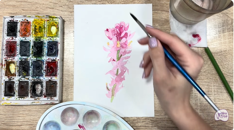 Рисуем Мирикария лисохвостая