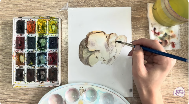 Рисуем Вешенки