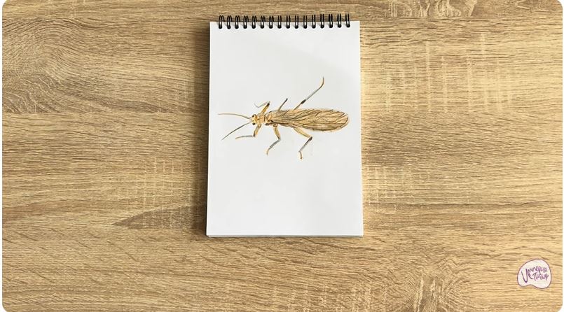 Рисуем Веснянка Рисуем Веснянка