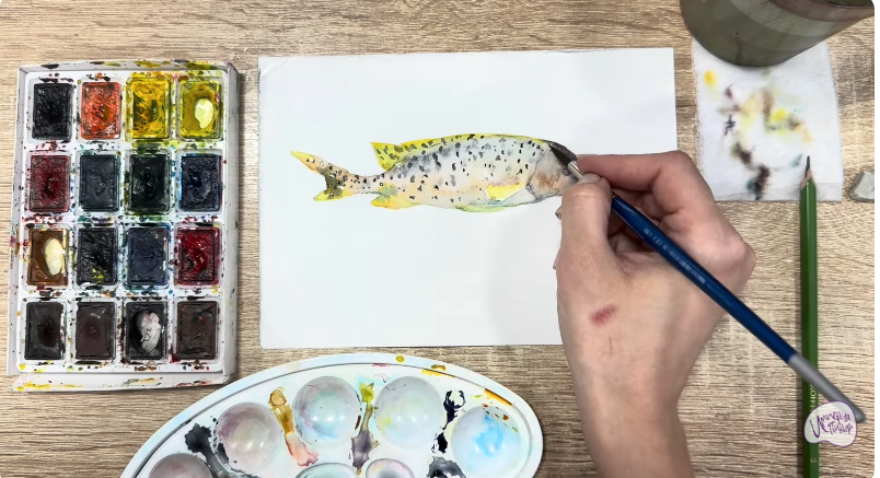 Рисуем Чернокрапчатый ворчун