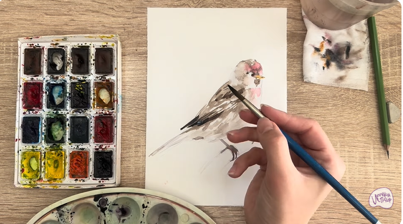 Рисуем Обыкновенная чечётка