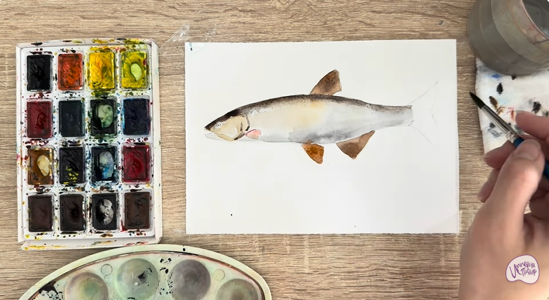 Рисуем Голавль