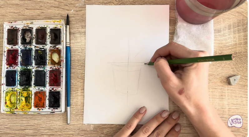 Рисуем Криптомерия японская