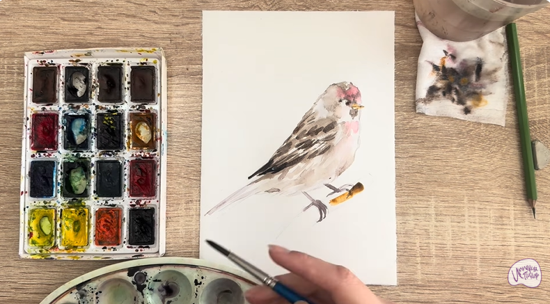 Рисуем Обыкновенная чечётка