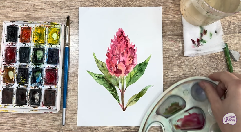 Рисуем Целозия