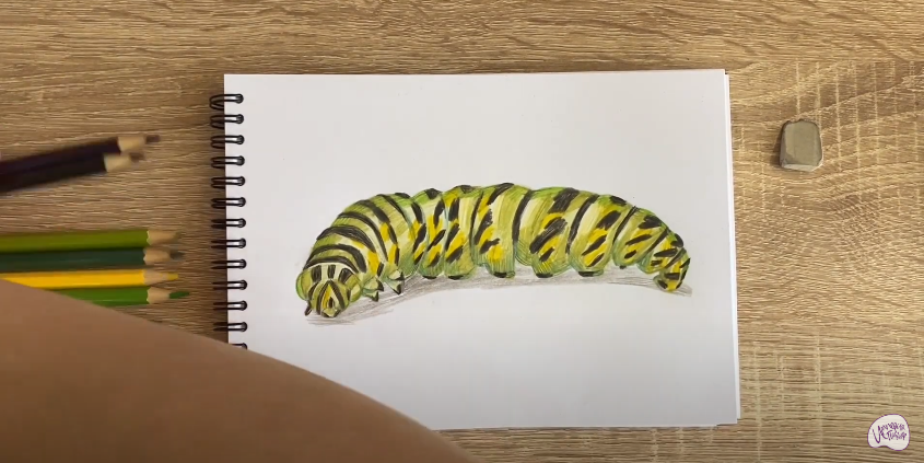 Рисуем Гусеница