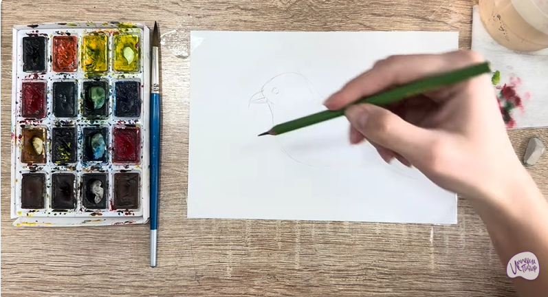 Рисуем Клест - еловик