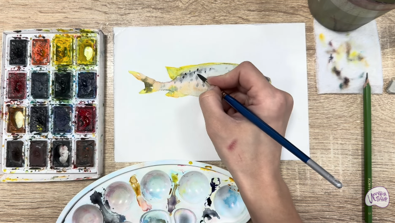 Рисуем Чернокрапчатый ворчун