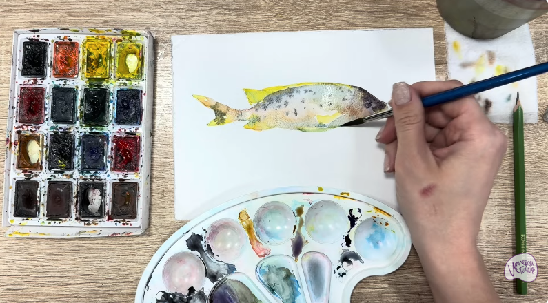 Рисуем Чернокрапчатый ворчун