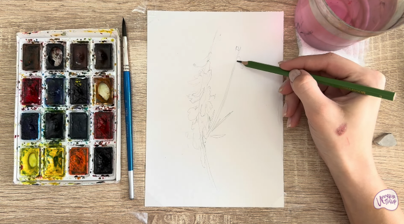 Рисуем Мышиный горошек