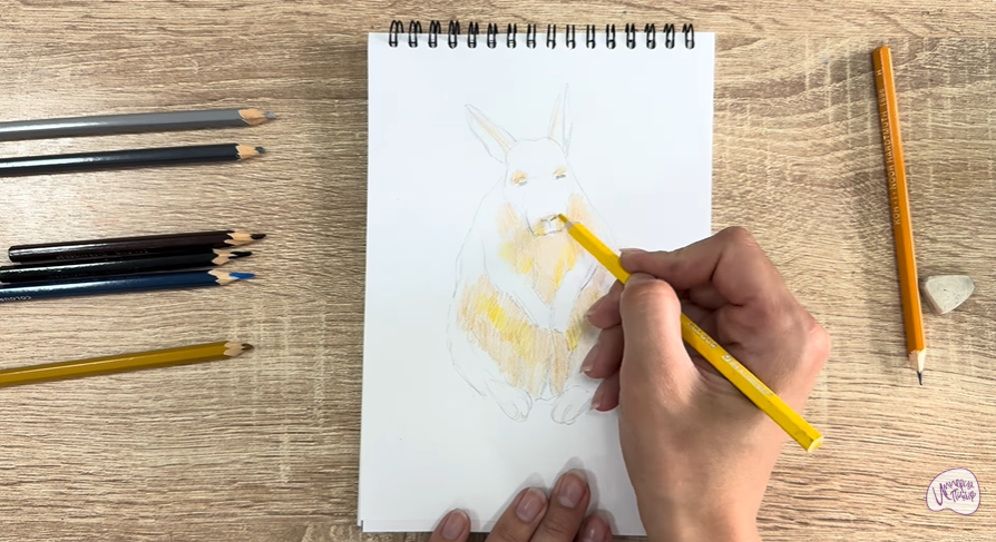Рисуем Горная вискаша