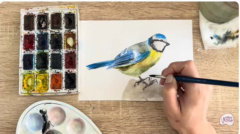 Рисуем Обыкновенная лазоревка