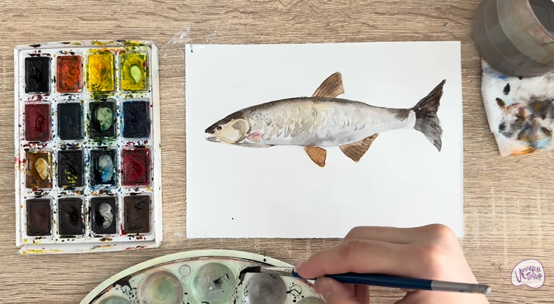 Рисуем Голавль