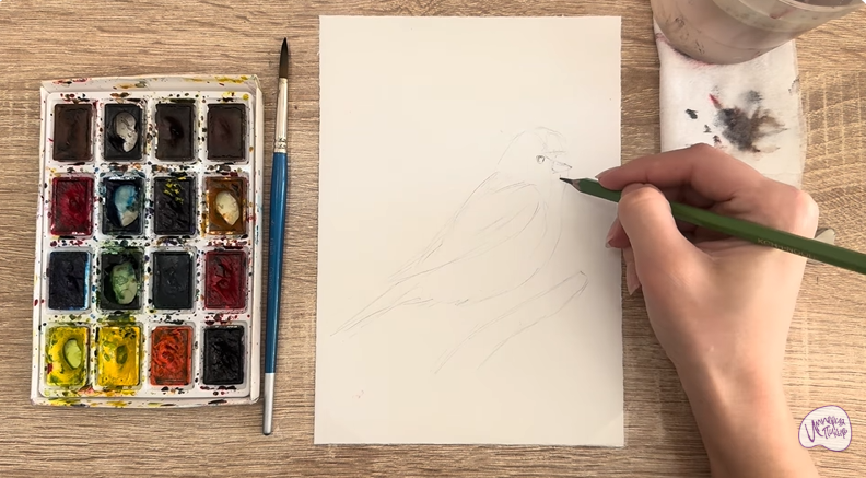 Рисуем Обыкновенная чечётка