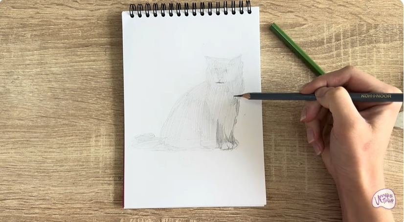 Рисуем Кошка породы Рэгдолл