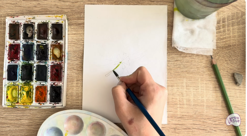 Рисуем Альбиция