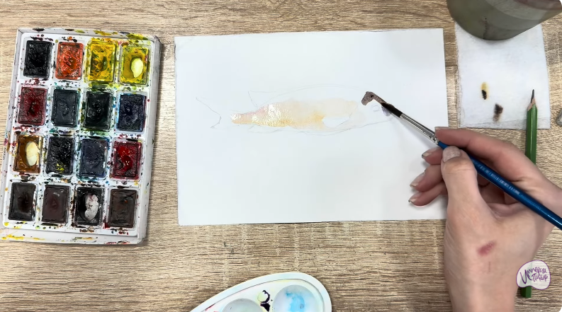 Рисуем Чернокрапчатый ворчун