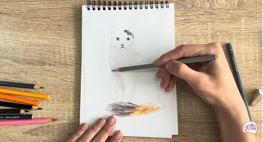 Рисуем Кот породы "Турецкий ван"