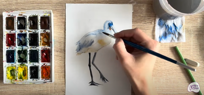 Рисуем Колпица Рисуем Колпица