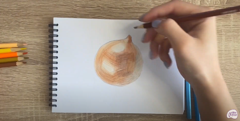 Рисуем Луковица