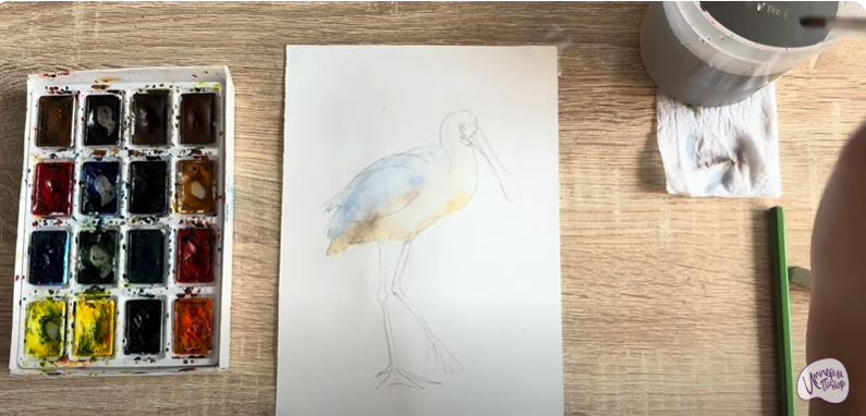 Рисуем Колпица Рисуем Колпица