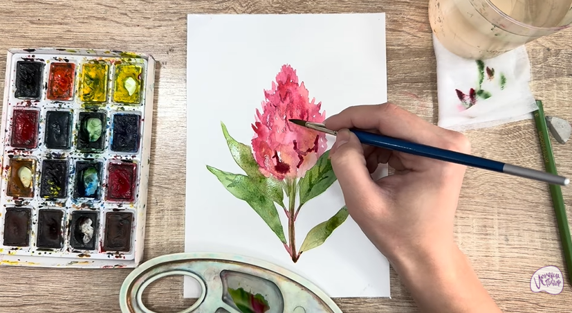 Рисуем Целозия