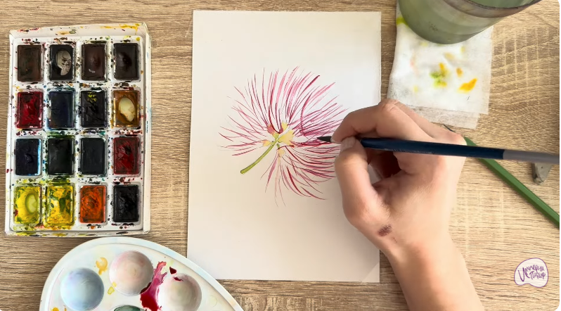 Рисуем Альбиция