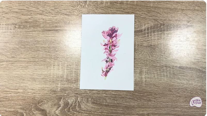 Рисуем Мирикария лисохвостая Рисуем Мирикария лисохвостая