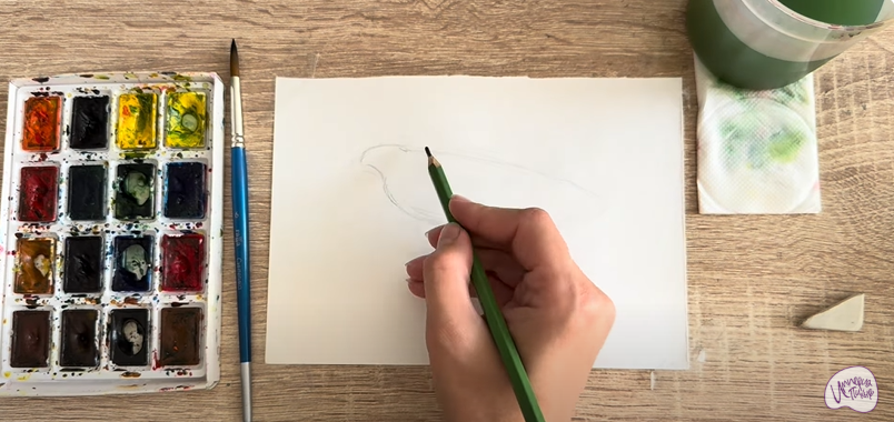 Рисуем Выпь Рисуем Выпь