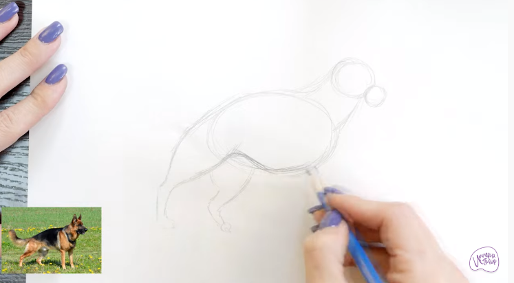 Рисуем Немецкая овчарка